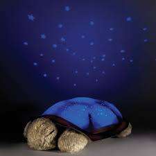 Turtle Night Light