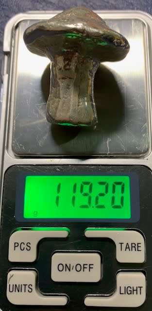 3.84 oz hand poured .999 pure silver MAGIC MUSHROOM custom made in the USA with COA. Unique piece.