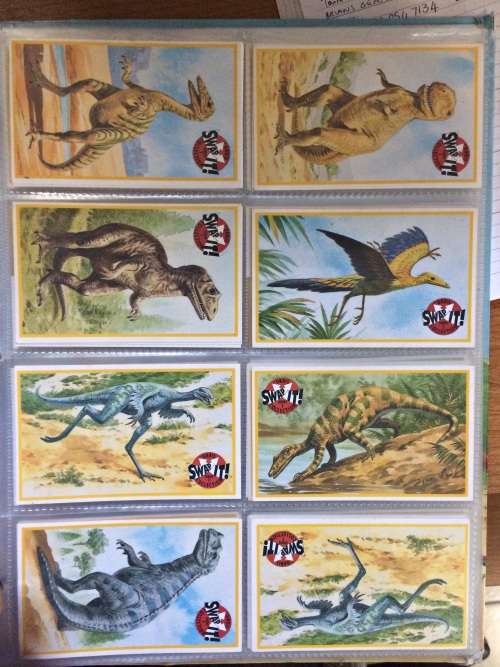 Dinosaur Card Collection & File