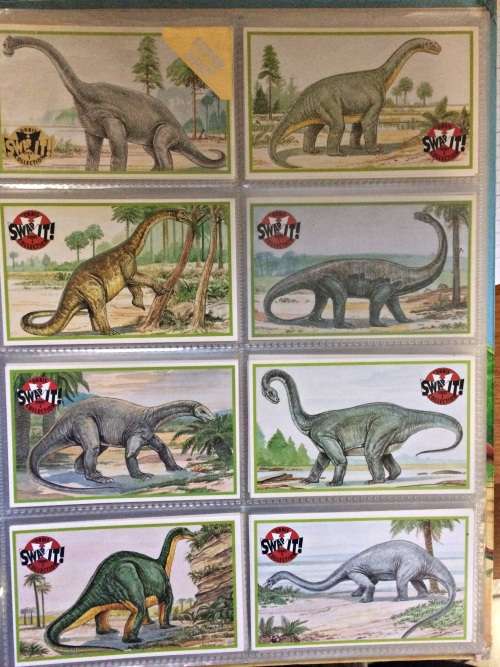 Dinosaur Card Collection & File