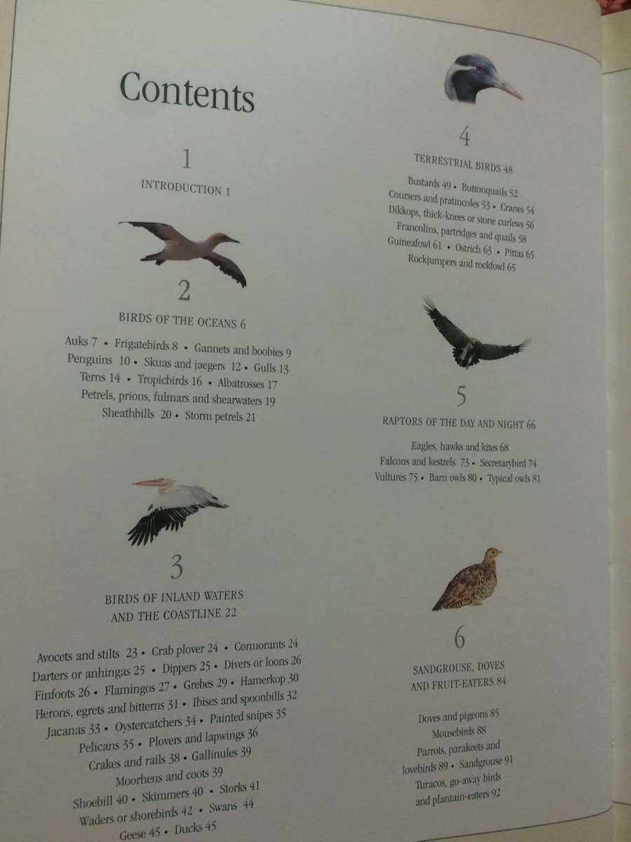 Birds of Africa: From Seabirds to Seed-Eaters - Chris and Tilde Stuart