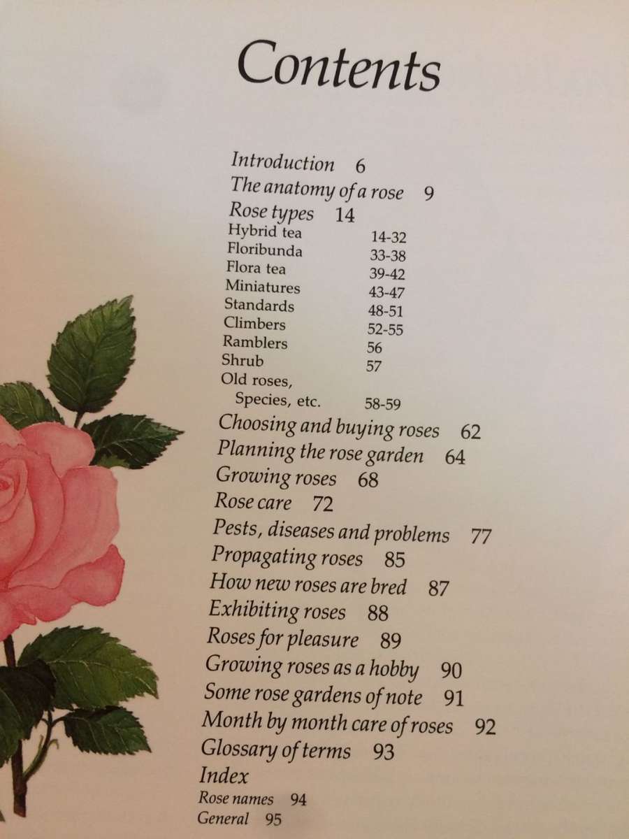 Rose Growing in South Africa - Zoe Gilbert (1984 1st Edition) EX