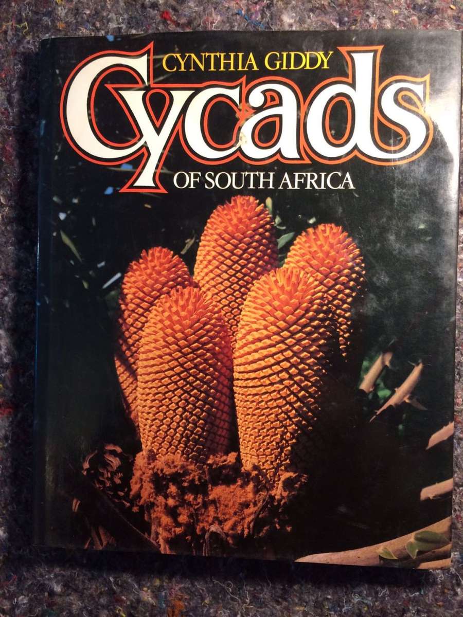 Cycads of South Africa - Cynthia Giddy (1984 2nd Revised Edition)