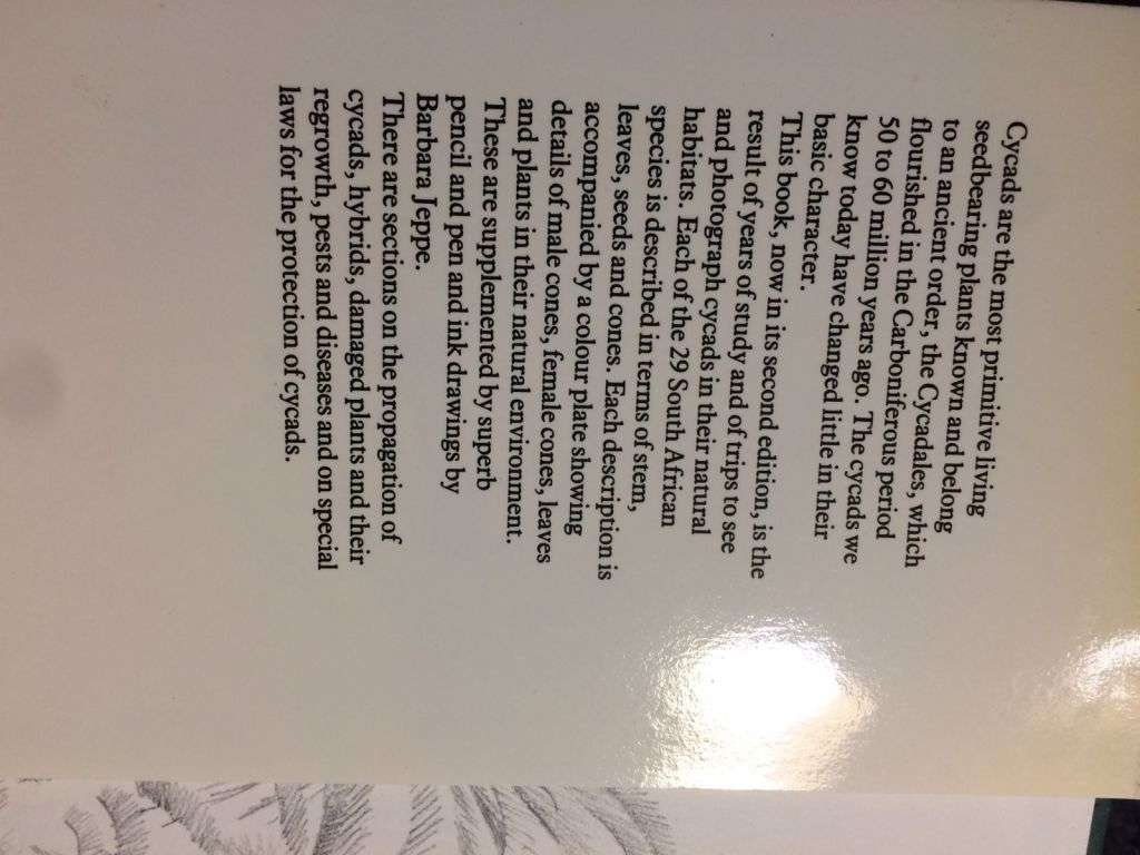 Cycads of South Africa - Cynthia Giddy (1984 2nd Revised Edition)