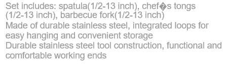 4 PIECES BRAAI SET IN A STAINLESS STEEL CASE *** AWESOME GIFT***