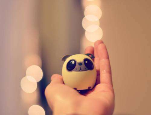 Mini Bluetooth Wireless Speaker - Audiopet