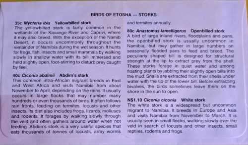 BIRDS OF ETOSHA ( STORKS )  1994-06-03 DIFFICULT TO GET.