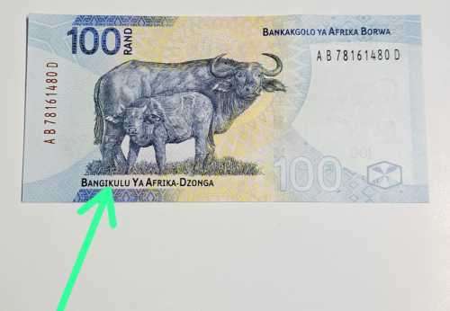 THE NEW R100 BANKNOTE SA RESERVES BANK  (SARB) **SPELLING ERROR ** NOTE. W/M BUFFALO HEAD.