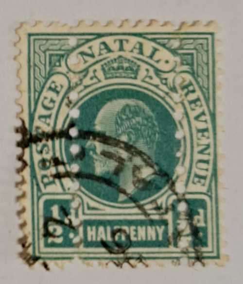 KING EDWARD VII 1/2PENNY NATAL STAMP **ERRORS ** ADDITIONAL ROWS OF PERFS**RARE  STAMP**CV  R750.00
