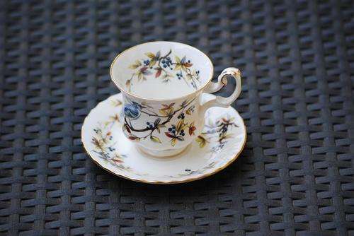 Royal Albert Woodland Series Blue Jay Tea Duo