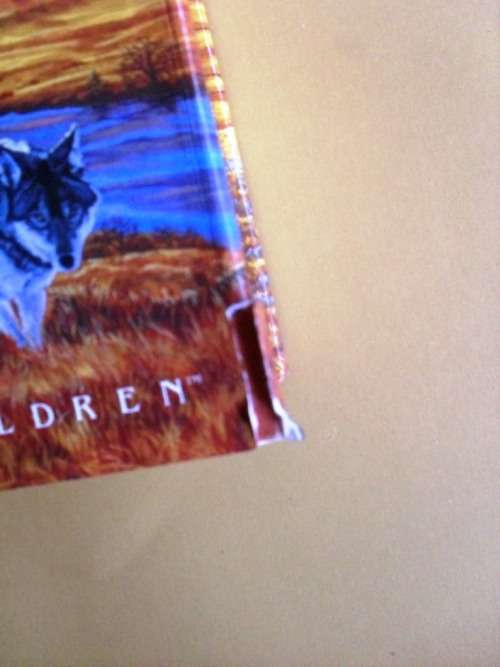 The Plains of Passage, Jean M. Auel