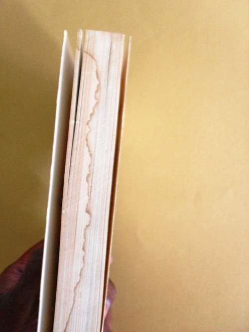 The Humanization of Man, Ashley Montagu [BARGAIN PRICE, REDUCED TO CLEAR]