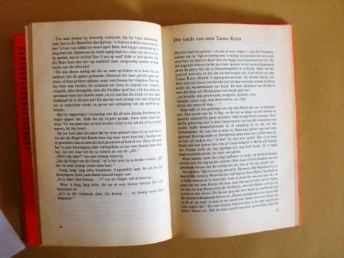 Die Fees van die Malles, André P. Brink