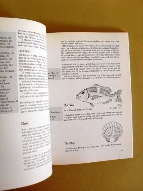 Free from the Sea, Lannice Snyman/Anne Klarie