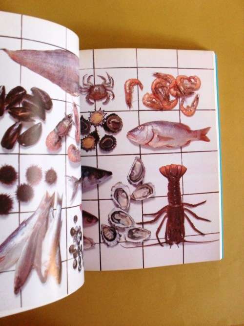 Free from the Sea, Lannice Snyman/Anne Klarie