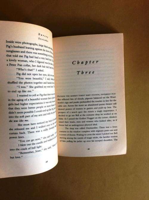 Suicide Blonde, Darcey Steinke