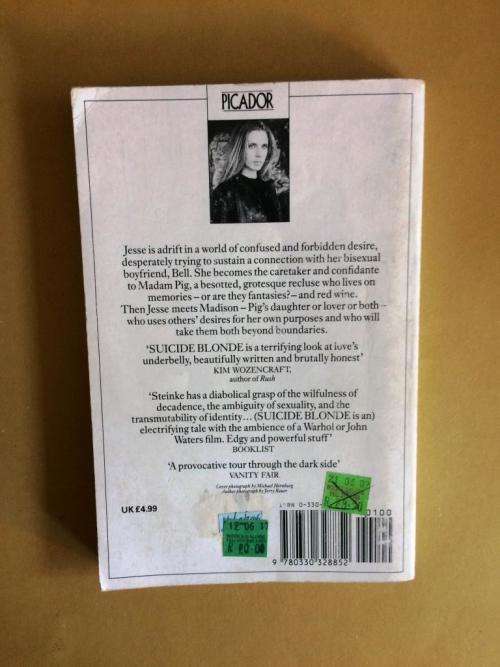 Suicide Blonde, Darcey Steinke