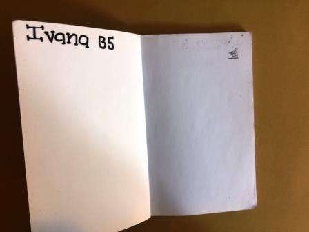 Eenkantkind, Marita van der Vyver