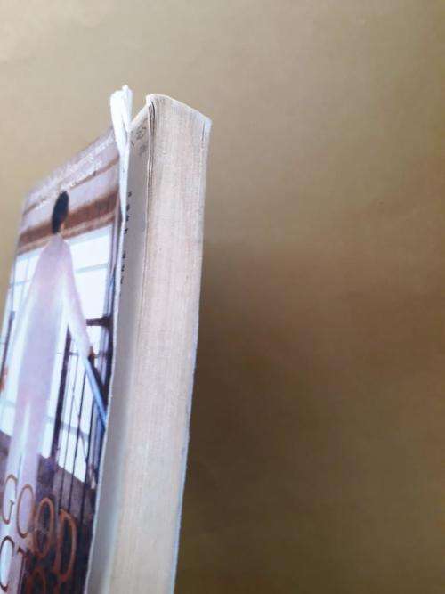 The Good Doctor, Damon Galgut