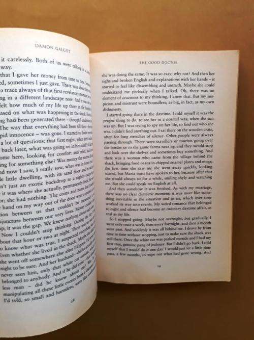 The Good Doctor, Damon Galgut