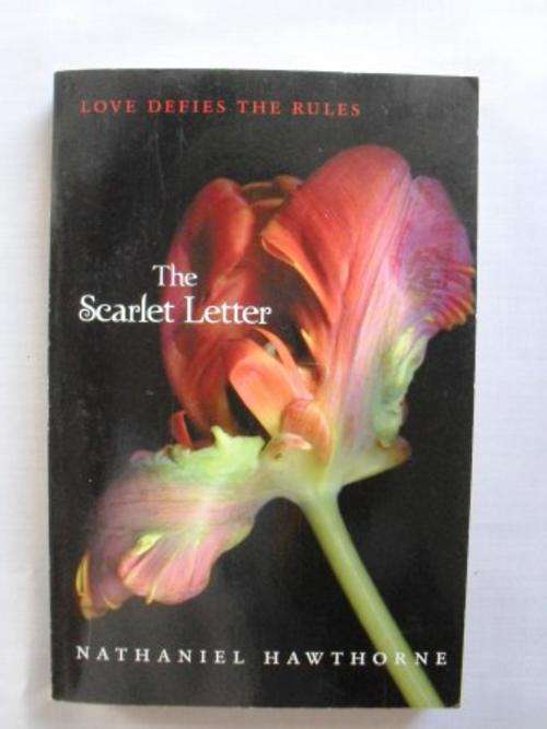 The Scarlet Letter, Nathaniel Hawthorne |PRICE REDUCED -Summer Sale (ends 31 Jan)