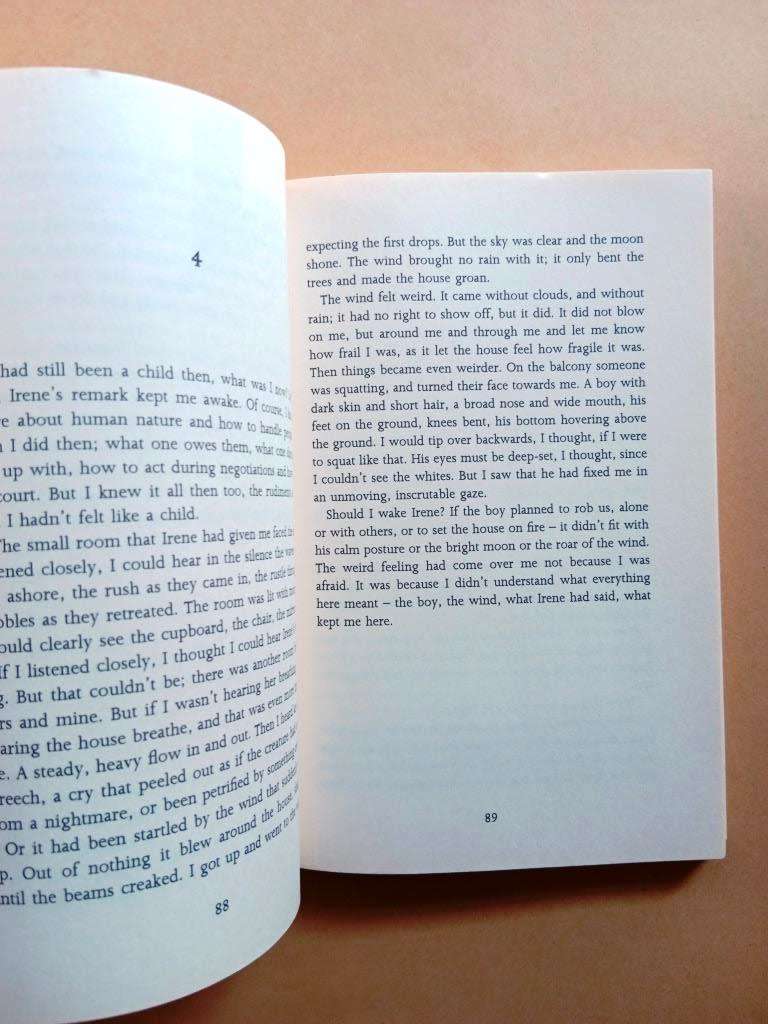 The Woman on the Stairs, Bernhard Schlink