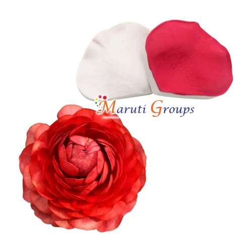 2pc Rose Petal Veiner Silicone Mould