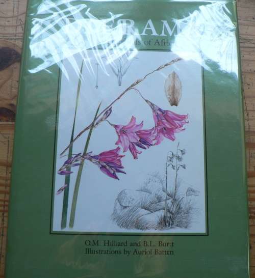 Dierama, the hairbells of  Africa by O.M. Hilliard & B.L. Burt