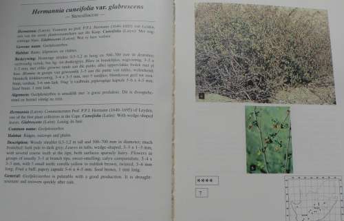 Bossieveld, Grazing plants of the Karoo and karoo-like areas by Le Roux, Kotze, Nel & Glen