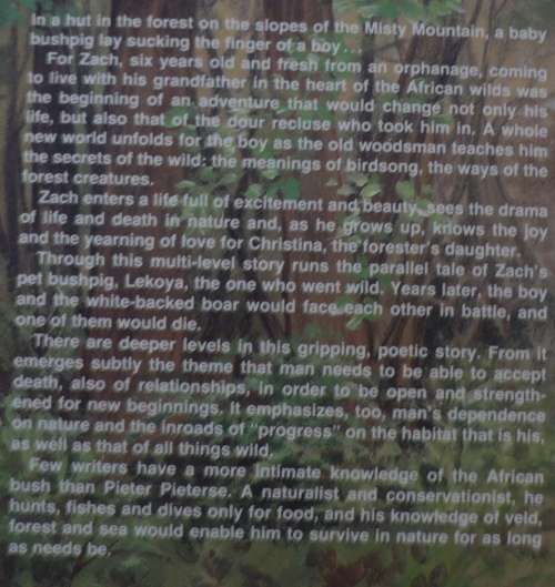 The misty mountain by Pieter Pieterse