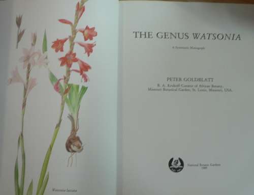 The genus Watsonia by Peter Goldblatt
