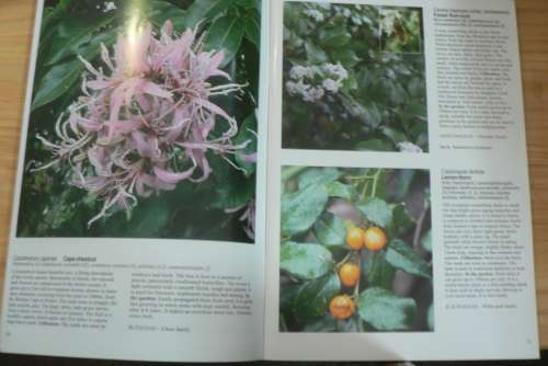 Forrest plants in the forrest and in the garden by Elsa Pooley