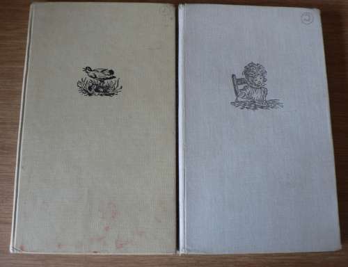 Stories van Rivierplaas en Nuwe stories van Rivierplaas deur Alba Bouwer(summer sale)