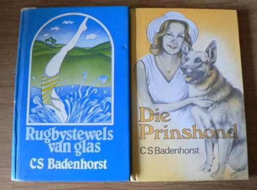 4 X jeugverhale deur C S Badenhorst(Afrikaanse jeugverhale)(summer sale)