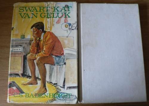 4 X jeugverhale deur C S Badenhorst(Afrikaanse jeugverhale)(summer sale)