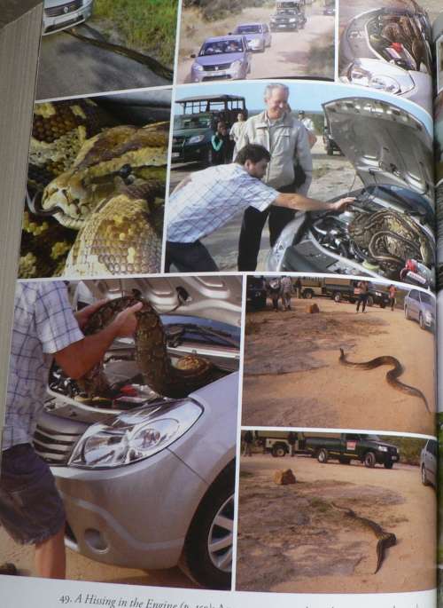 101 Kruger tales compiled by Jeff Gordon