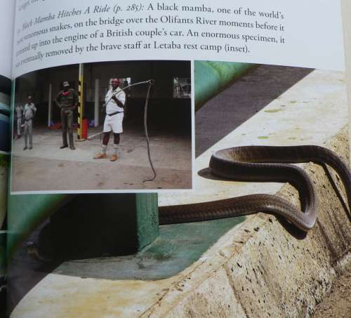 101 Kruger tales compiled by Jeff Gordon