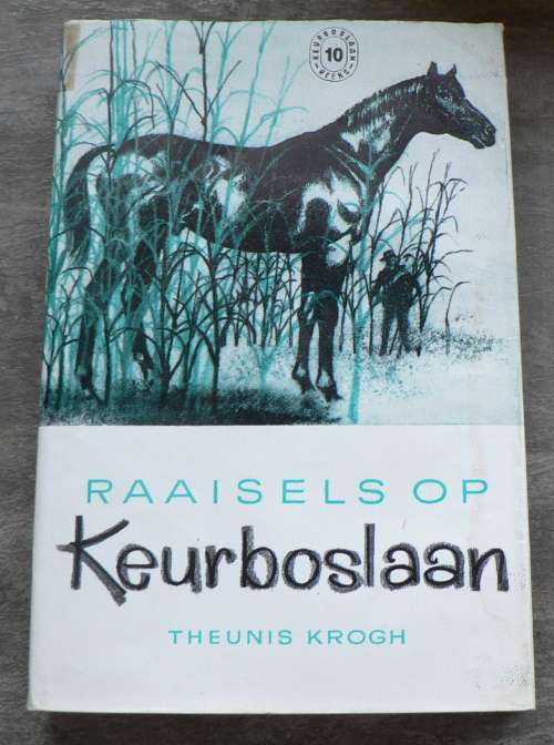 Raaisels op Keurboslaan deur Theunis Krogh(Keurboslaan reeks 19)
