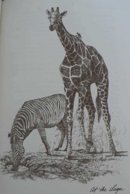 Robert Ruark`s Africa (African hunting)