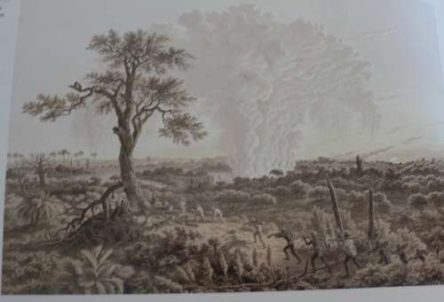 The life and work of Thomas Baines by Jane Carruthers & Marion Arnold