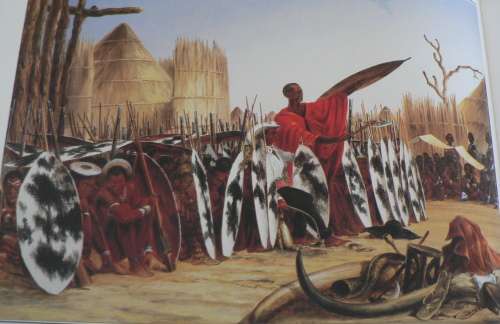 The life and work of Thomas Baines by Jane Carruthers & Marion Arnold