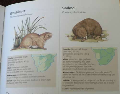 Gids tot die dierelewe van Suider-Afrika(pragtig geillustreerde natuurgids in Afrikaans)