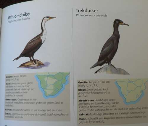 Gids tot die dierelewe van Suider-Afrika(pragtig geillustreerde natuurgids in Afrikaans)