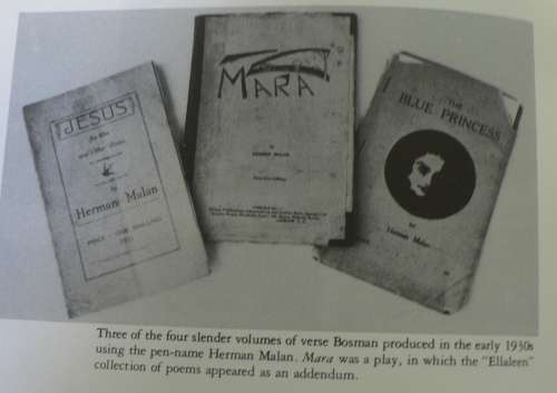 2 X Biographies on Herman Charles Bosman by Valerie Rosenburg