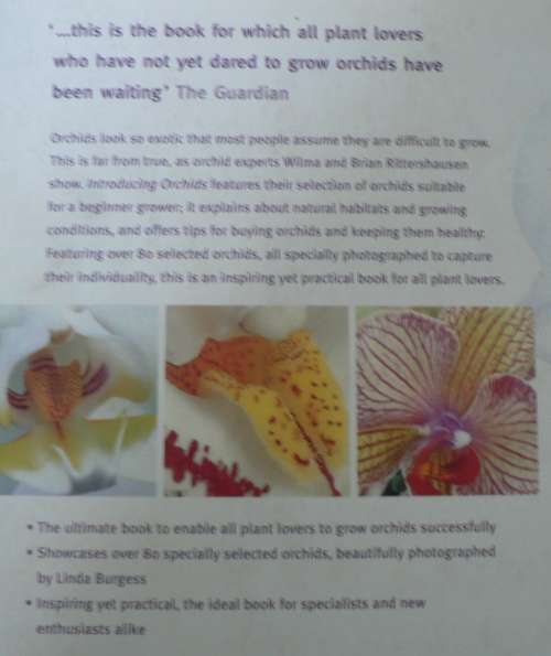 Introducing Orchids by Wilma and Brian Ritterhausen