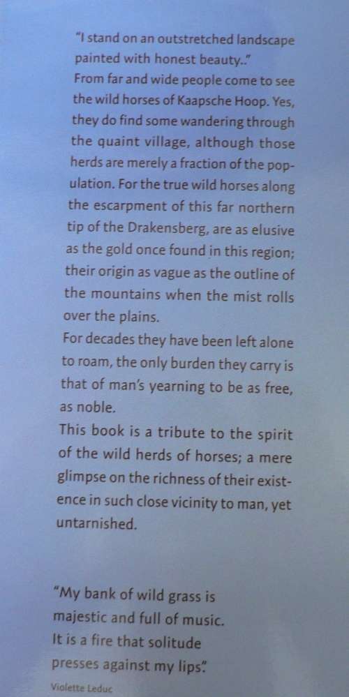 The wild horses of the Kaapsehoop Escarpment(beautiful nature book)