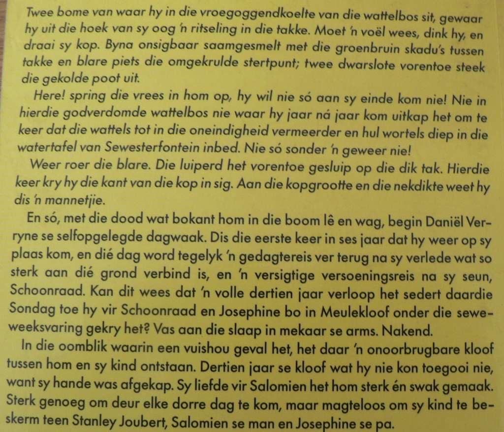 Klawervier deur Annelie Botes