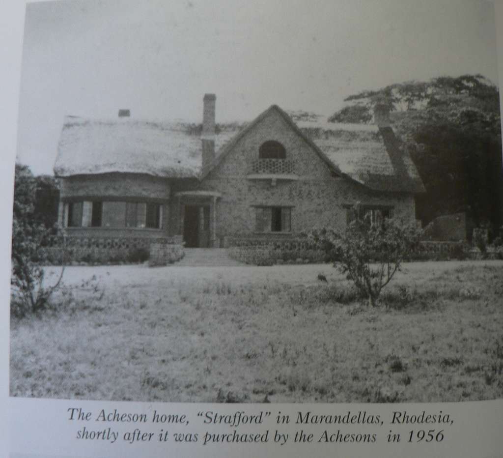 Baboons on the veranda by C.W. `Duke` Acheson(Rhodesiana)