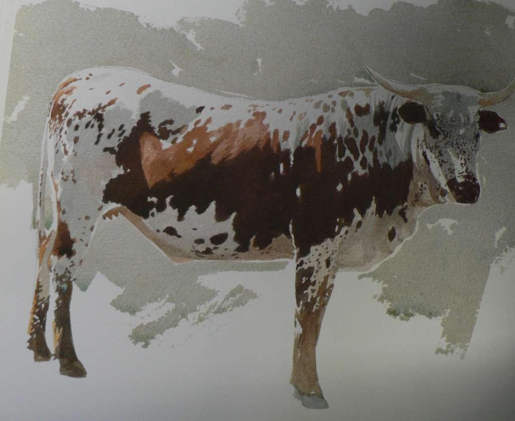 The Abundant Herds by Poland, Hammond-Tooke and Voight