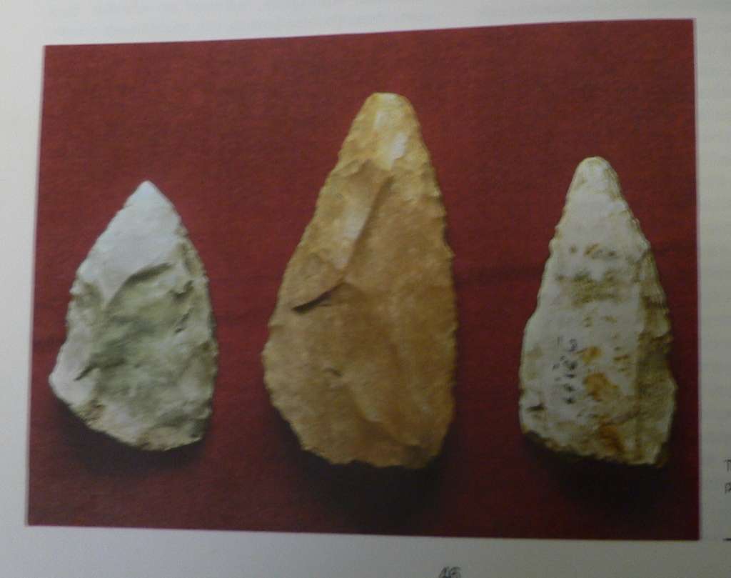 Primitive Hunters, a search for Man the hunter by Jan Jelenik